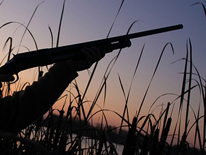 Bắn chết bạn săn vì nhầm là...thú rừng