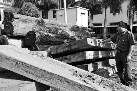 Vẫn “nóng” tình trạng phá rừng ở Tây Nguyên