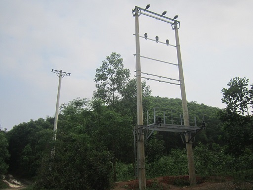 Nghệ An: Có dự án điện, dân vẫn chờ... “ánh sáng”