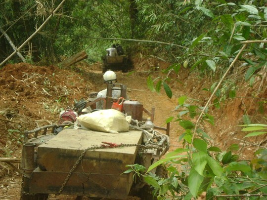 Kỷ luật 5 cán bộ kiểm lâm vì để lâm tặc “xẻ thịt” rừng