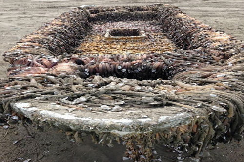 Cận cảnh “con tàu ma” bí ẩn trôi dạt vào bờ biển Mỹ