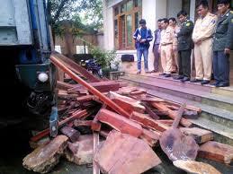 Bắt nhóm xuất lậu gỗ quý “núp” hàng gốm sứ