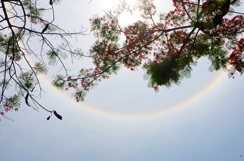 Quầng mặt trời xuất hiện ở Quảng Ninh