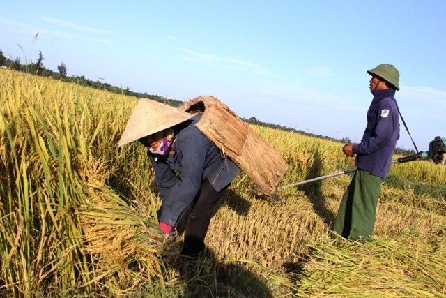Nắng nóng gay gắt, người dân trở lại với mốt