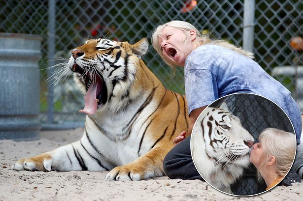 Người phụ nữ liều lĩnh “nuôi” 2 chúa sơn lâm