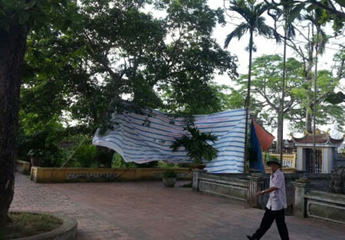 Người đàn ông chết trong tư thế treo cổ giữa miếu vắng