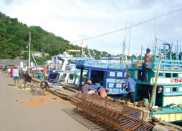 Biển Tây vẫn  "sốt " banh lông
