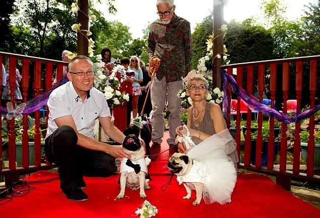 Chi 70 triệu tổ chức đám cưới cho… cún cưng