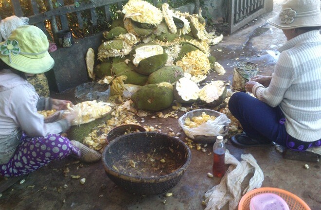 Bơm hóa chất Trung Quốc để mít non chín siêu tốc