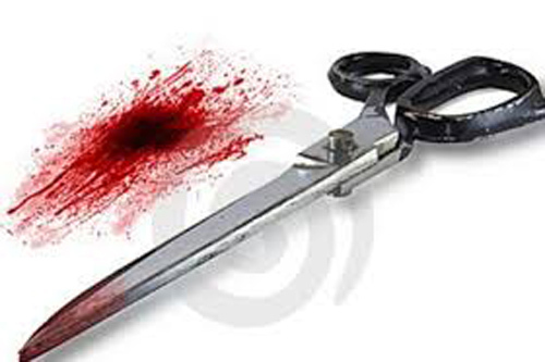 Xin tiền không được, dùng kéo đâm chết bà nội