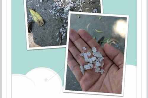 Dân mạng hoang mang với 