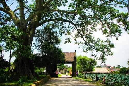 Phù thủy phương Bắc bó tay trước âm mưu trấn yểm Đường Lâm