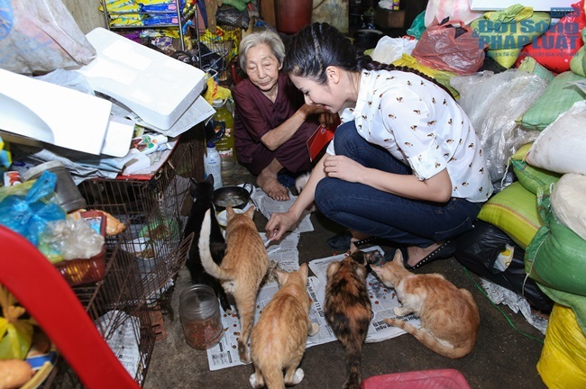 Ngọc Hân thăm bà cụ sống neo đơn cưu mang chó mèo bị bỏ rơi