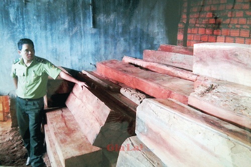 Gia Lai: Thu giữ 199 hộp gỗ xẻ tàng trữ trái phép
