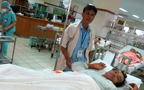 Ăn cá nóc, 1 người chết, 6 người nhập viện