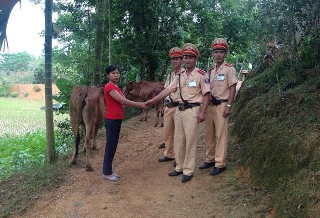 Nghệ An: Cảnh sát giao thông bắt 2 đối tượng trộm bò