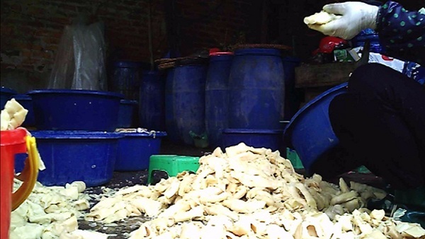 Clip: Mục sở thị cơ sở làm măng siêu bẩn