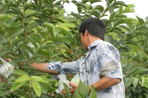 Sự thật về cuộc sống nghèo khổ của gia đình ca sĩ Lệ Rơi