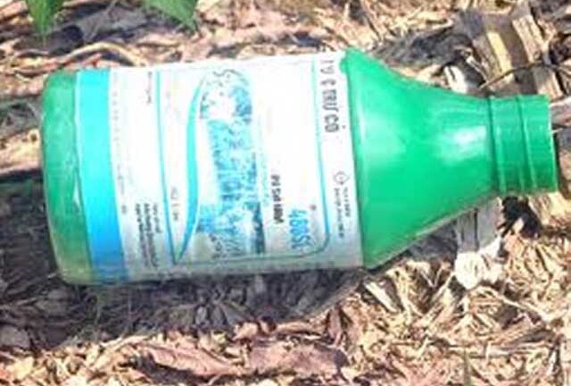 Bị cấm yêu, nữ sinh lớp 8 tự tử cùng người yêu