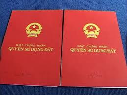 Công ty Thành Thành Công bán đấu giá quyền sử dụng đất