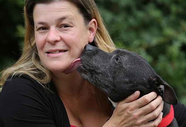 Chó vẫn nhớ chủ sau 5 năm thất lạc