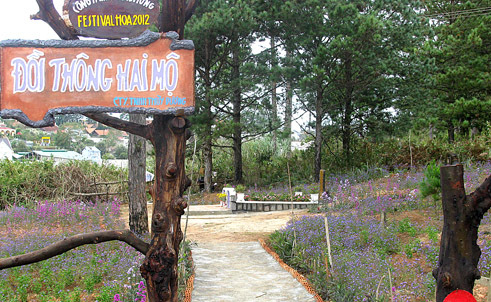 Đại sứ quán VN tại Campuchia bị quấy rối