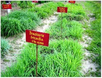 Giảm phát thải nhà kính