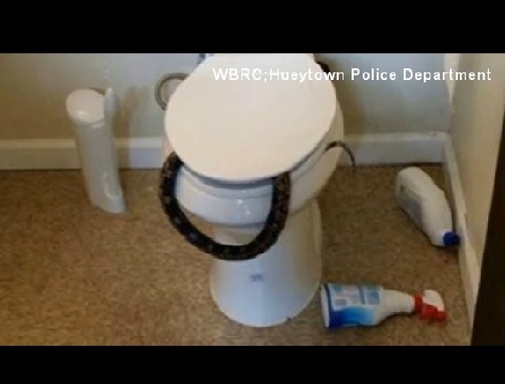 Tá hỏa phát hiện rắn độc chui ra từ bồn cầu