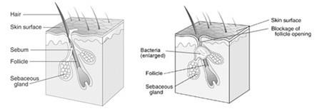 Tuần Lễ Ưu Đãi chỉ có tại Diamond Spa & Clinic