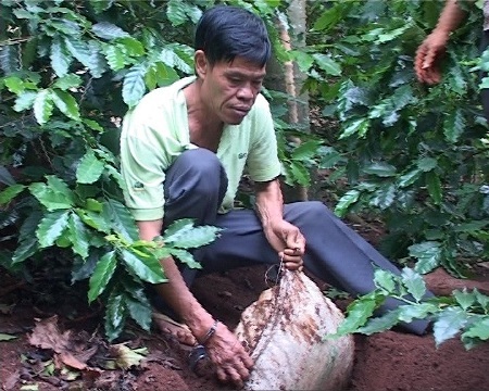 Bắt giữ vụ vận chuyển, tàng trữ hơn 800kg thuốc bom