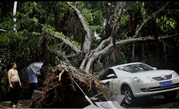 Bão Matmo tàn phá tỉnh Phúc Kiến, Trung Quốc