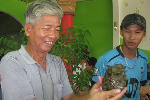 Phú Yên: Dân đổ xô đi xem con ba ba có hình mặt người