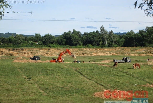 UBND xã trở thành đầu nậu của 