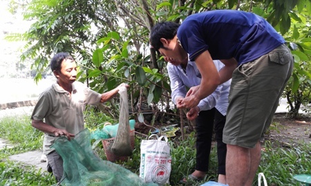 Nghề “độc” hốt tiền gấp chục lần lương công chức ở Hà Thành
