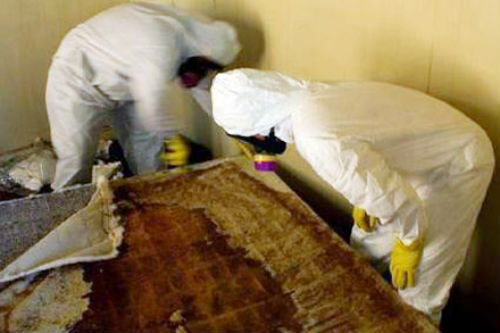 Nghề “ngửi mùi chết chóc”