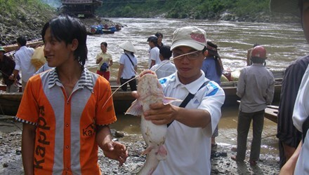 Săn cá đổi đời ở vùng lòng hồ thủy điện Bản Vẽ