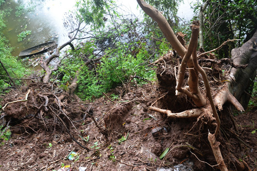 Dân sống trong lo sợ vì sạt lở ven sông Đáy ngày càng sâu