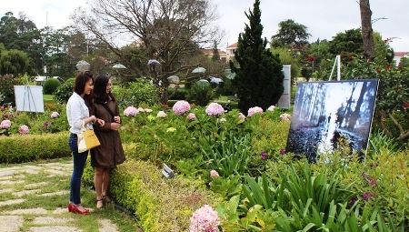 Đà Lạt tôn vinh mưa phố núi