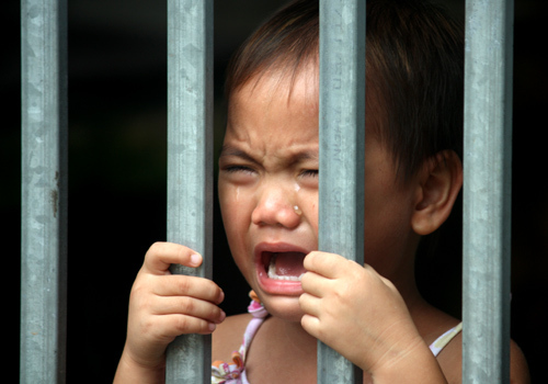16 người được chuyển khỏi chùa Bồ Đề một năm qua