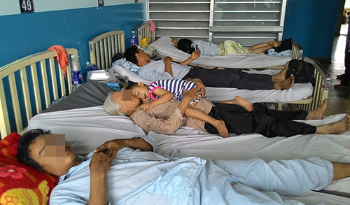 Uống tiết trăn pha rượu, 7 người trong gia đình nhập viện