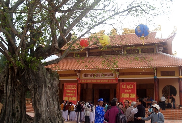 Cây bồ đề 3 thân được công nhận là Cây di sản Việt Nam