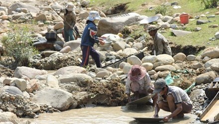 Dân băng rừng, lội suối vì rộ tin đào được 1,4kg vàng