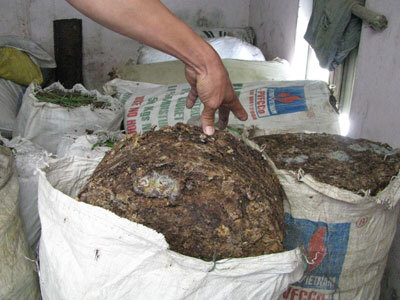 Đột kích cơ sở chế biến mỡ bẩn, thu nhiều thùng mỡ đen sì