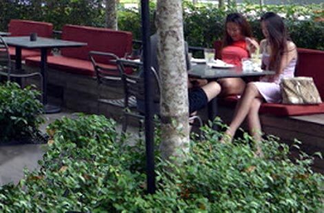 Hội “câu” Sài Gòn: 1.001 cách thả “mồi”