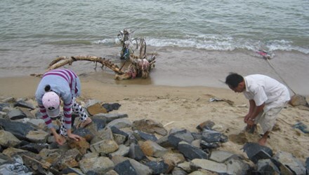 Phú Yên: Bắt giam 3 cán bộ chi tiền bồi thường sai quy định