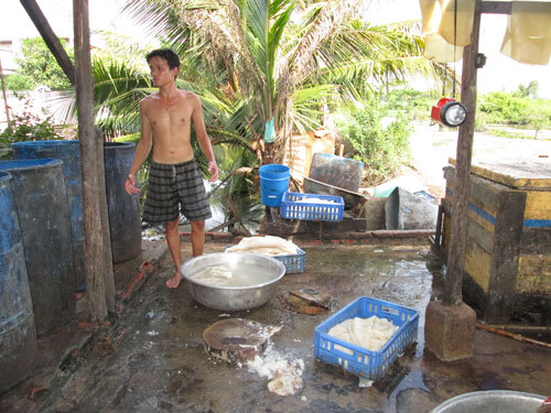 Hãi hùng những lò chế biến “đặc sản” bình dân