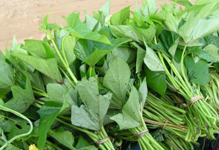 Rau lang và những công dụng trị bệnh không ngờ