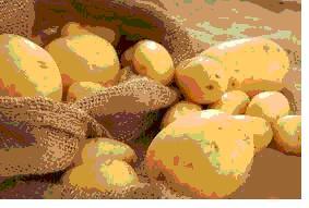 Phương pháp làm trắng sáng da tự nhiên