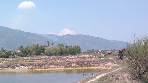 Chủ đầm ốc bị bắn chết lúc nửa đêm vì “tòm tem” vợ người