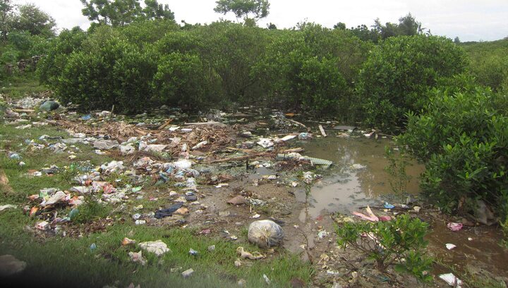 Dân sống chung với rác ở cảng cá Lạch Vạn 